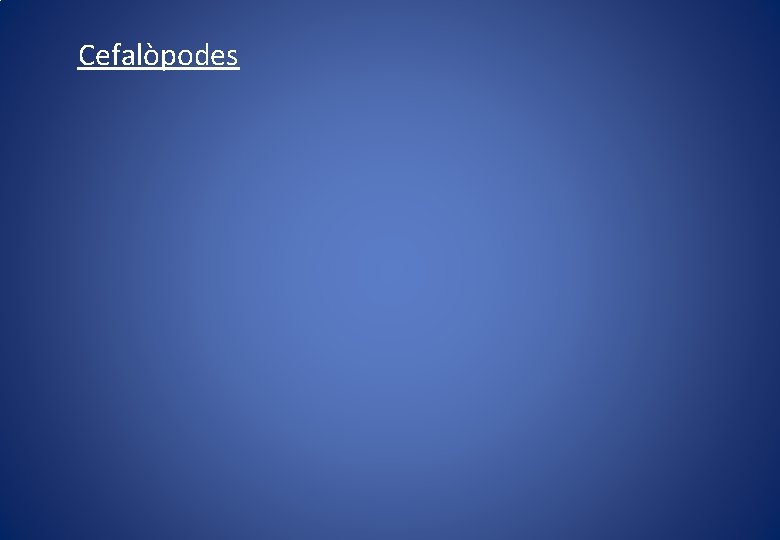 Cefalòpodes 