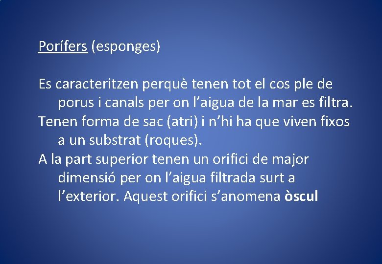 Porífers (esponges) Es caracteritzen perquè tenen tot el cos ple de porus i canals Porífers (esponges) Es caracteritzen perquè tenen tot el cos ple de porus i canals