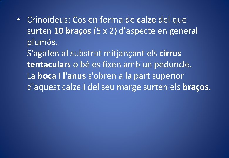 • Crinoïdeus: Cos en forma de calze del que surten 10 braços (5 • Crinoïdeus: Cos en forma de calze del que surten 10 braços (5