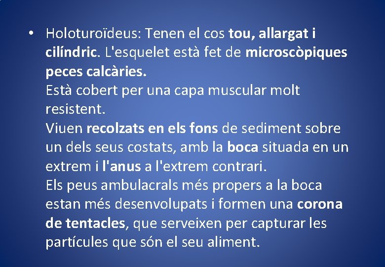 • Holoturoïdeus: Tenen el cos tou, allargat i cilíndric. L'esquelet està fet de • Holoturoïdeus: Tenen el cos tou, allargat i cilíndric. L'esquelet està fet de