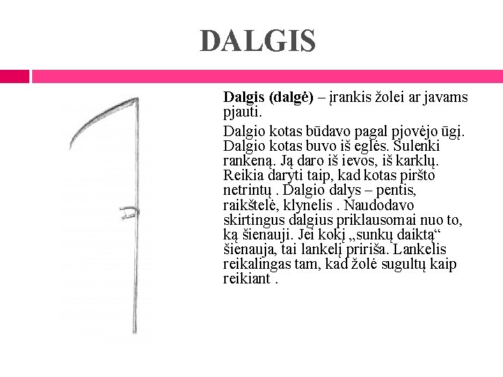 DALGIS Dalgis (dalgė) – įrankis žolei ar javams pjauti. Dalgio kotas būdavo pagal pjovėjo