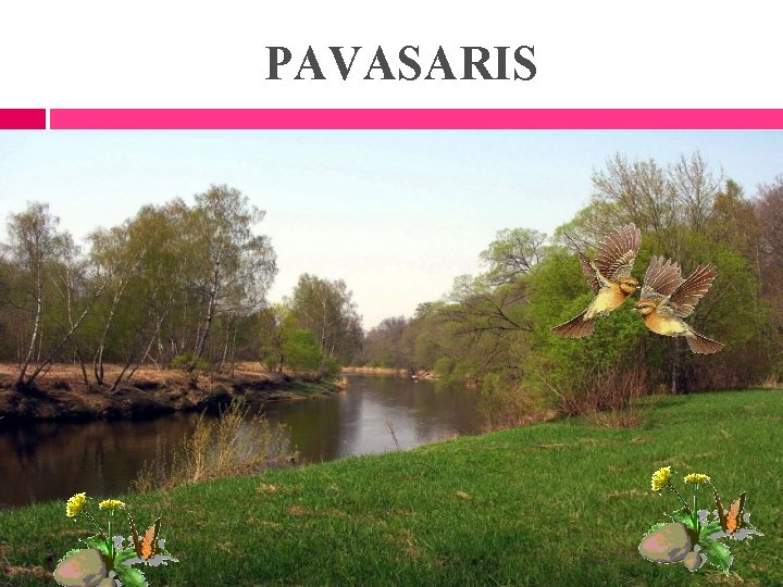 PAVASARIS 