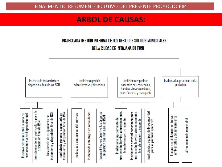 FINALMENTE: RESUMEN EJECUTIVO DEL PRESENTE PROYECTO PIP ARBOL DE CAUSAS: 