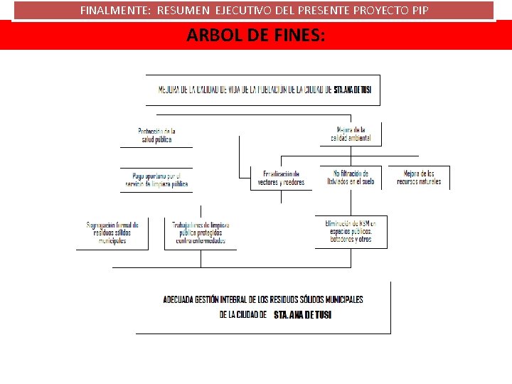 FINALMENTE: RESUMEN EJECUTIVO DEL PRESENTE PROYECTO PIP ARBOL DE FINES: 