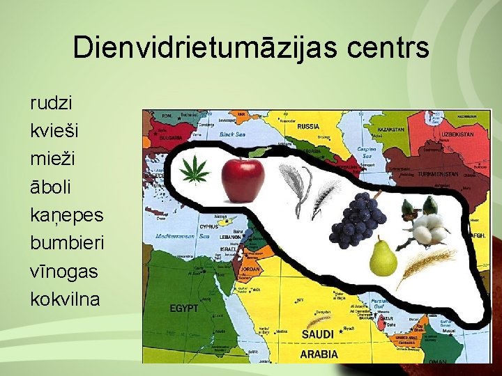 Dienvidrietumāzijas centrs rudzi kvieši mieži āboli kaņepes bumbieri vīnogas kokvilna 