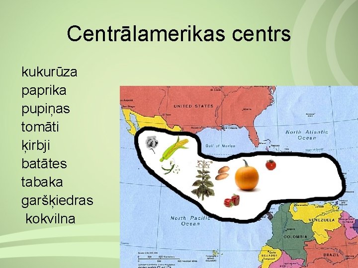 Centrālamerikas centrs kukurūza paprika pupiņas tomāti ķirbji batātes tabaka garšķiedras kokvilna 