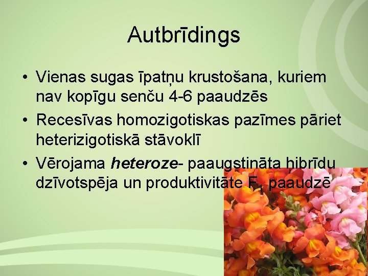 Autbrīdings • Vienas sugas īpatņu krustošana, kuriem nav kopīgu senču 4 6 paaudzēs •