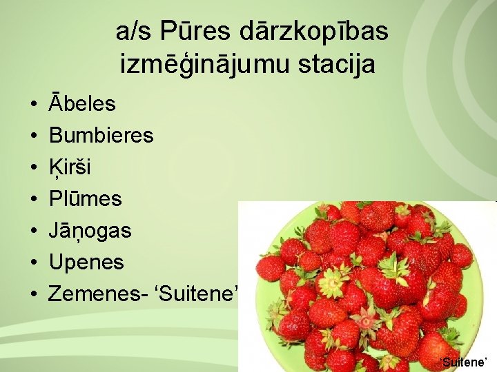  a/s Pūres dārzkopības izmēģinājumu stacija • • Ābeles Bumbieres Ķirši Plūmes Jāņogas Upenes