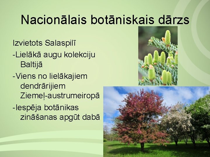 Nacionālais botāniskais dārzs Izvietots Salaspilī Lielākā augu kolekciju Baltijā Viens no lielākajiem dendrārijiem Ziemeļ