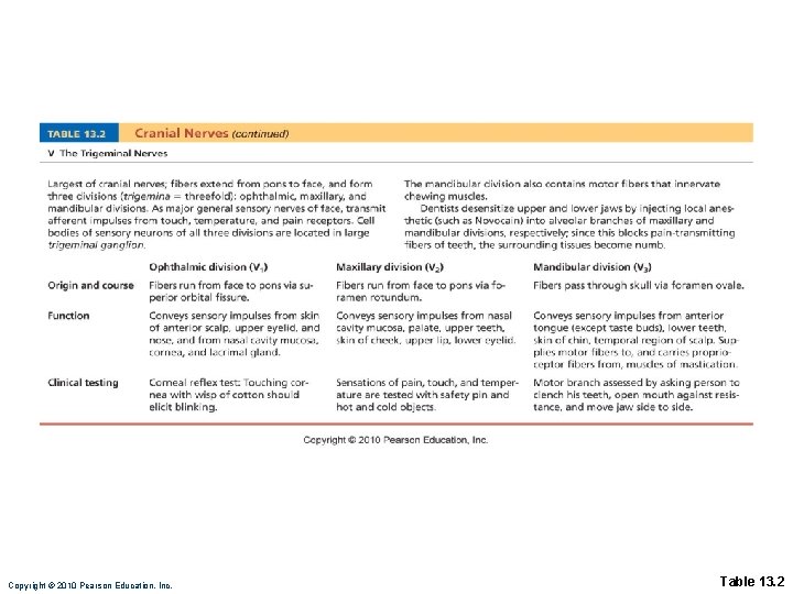 Copyright © 2010 Pearson Education, Inc. Table 13. 2 