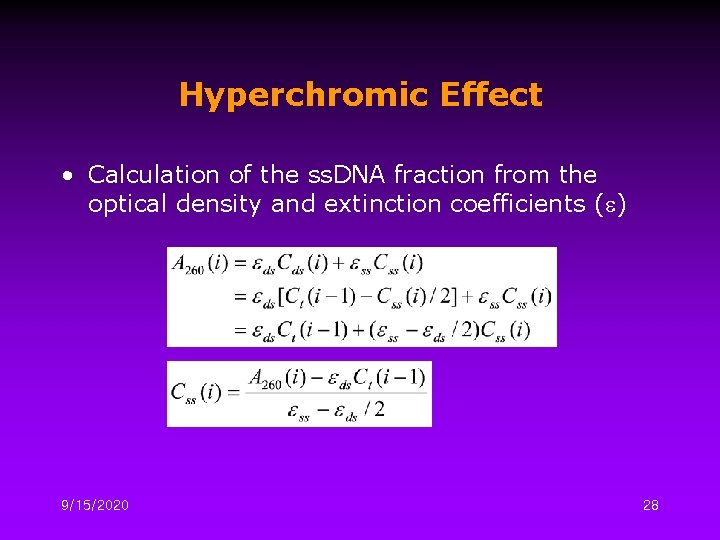 Hyperchromic Effect • Calculation of the ss. DNA fraction from the optical density and