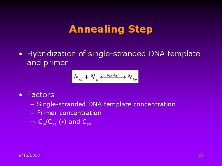 Annealing Step • Hybridization of single-stranded DNA template and primer • Factors – Single-stranded