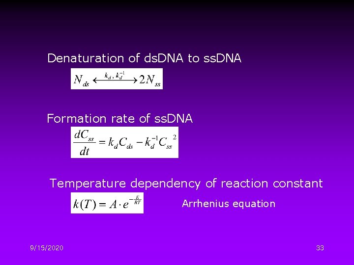 Denaturation of ds. DNA to ss. DNA Formation rate of ss. DNA Temperature dependency