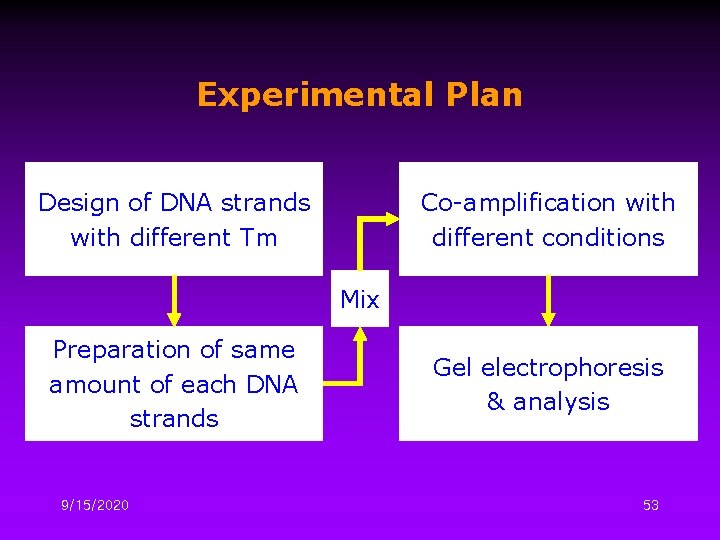 Experimental Plan Design of DNA strands with different Tm Co-amplification with different conditions Mix