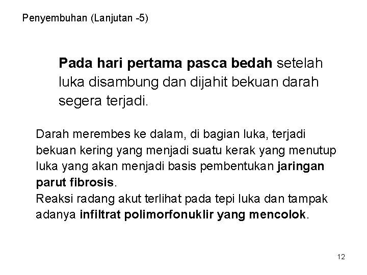 Penyembuhan (Lanjutan -5) Pada hari pertama pasca bedah setelah luka disambung dan dijahit bekuan