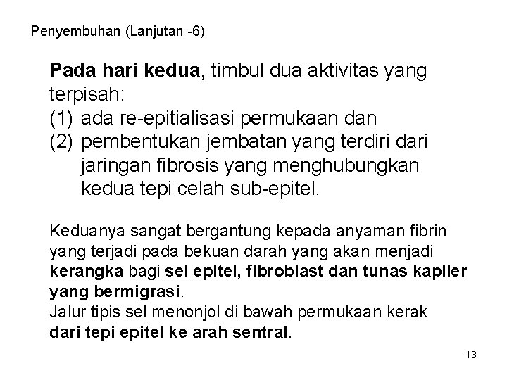 Penyembuhan (Lanjutan -6) Pada hari kedua, timbul dua aktivitas yang terpisah: (1) ada re-epitialisasi