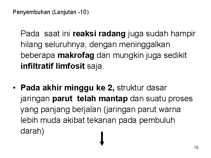 Penyembuhan (Lanjutan -10) Pada saat ini reaksi radang juga sudah hampir hilang seluruhnya, dengan