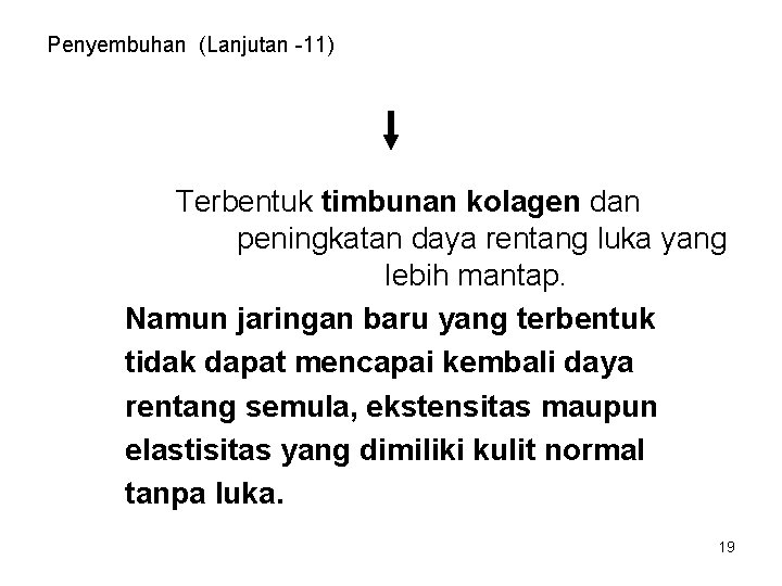 Penyembuhan (Lanjutan -11) Terbentuk timbunan kolagen dan peningkatan daya rentang luka yang lebih mantap.