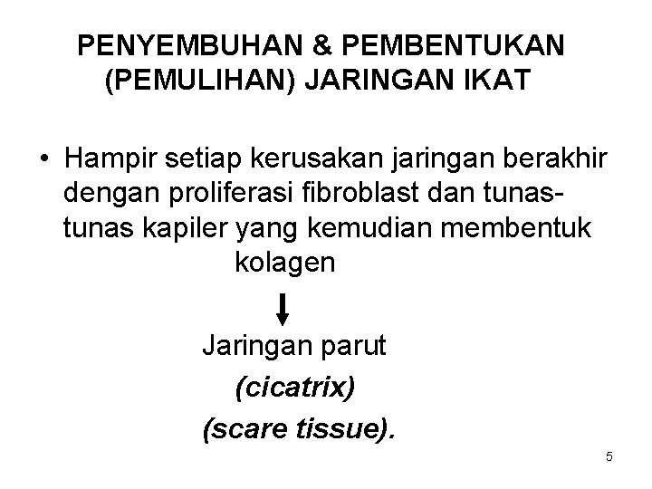 PENYEMBUHAN & PEMBENTUKAN (PEMULIHAN) JARINGAN IKAT • Hampir setiap kerusakan jaringan berakhir dengan proliferasi