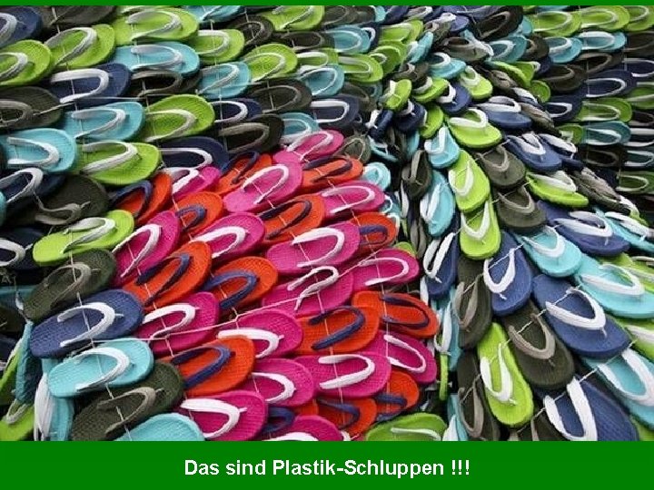 Das sind Plastik-Schluppen !!! 