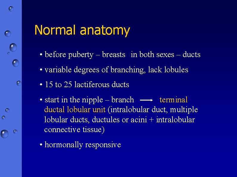 Normal anatomy • before puberty – breasts in both sexes – ducts • variable