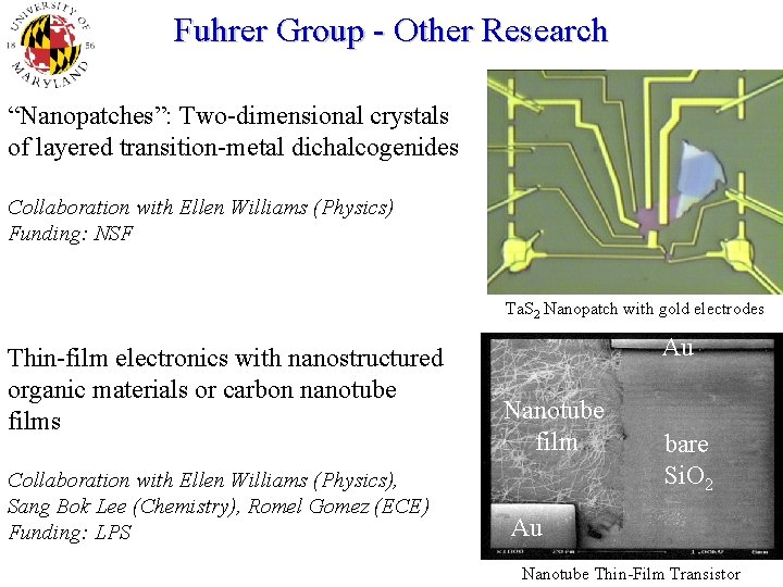 Fuhrer Group - Other Research “Nanopatches”: Two-dimensional crystals of layered transition-metal dichalcogenides Collaboration with