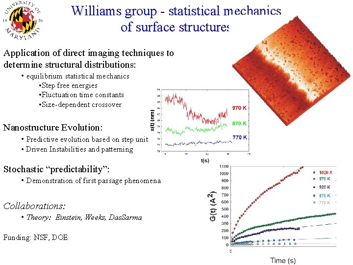 Williams group - statistical mechanics of surface structures Application of direct imaging techniques to