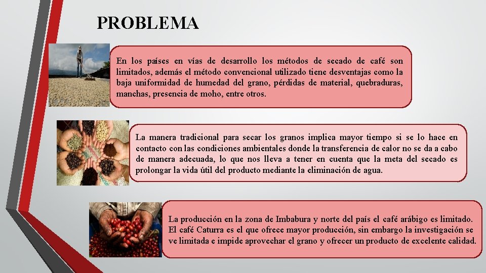 PROBLEMA En los países en vías de desarrollo los métodos de secado de café PROBLEMA En los países en vías de desarrollo los métodos de secado de café