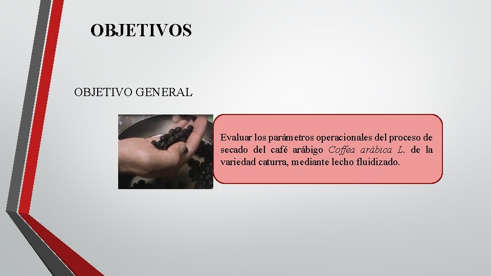 OBJETIVOS OBJETIVO GENERAL Evaluar los parámetros operacionales del proceso de secado del café arábigo OBJETIVOS OBJETIVO GENERAL Evaluar los parámetros operacionales del proceso de secado del café arábigo