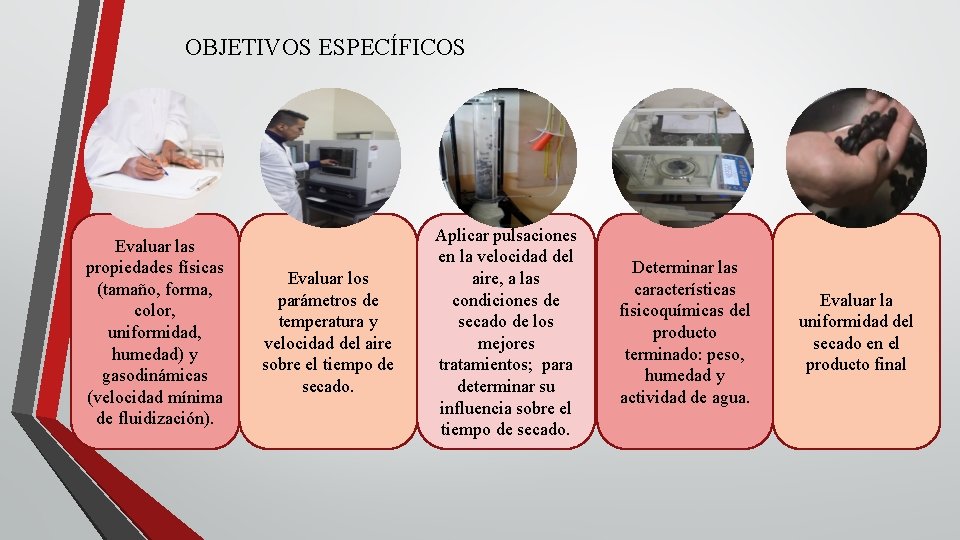 OBJETIVOS ESPECÍFICOS Evaluar las propiedades físicas (tamaño, forma, color, uniformidad, humedad) y gasodinámicas (velocidad OBJETIVOS ESPECÍFICOS Evaluar las propiedades físicas (tamaño, forma, color, uniformidad, humedad) y gasodinámicas (velocidad