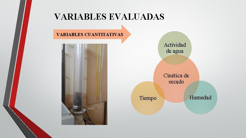 VARIABLES EVALUADAS VARIABLES CUANTITATIVAS Actividad de agua Cinética de secado Tiempo Humedad VARIABLES EVALUADAS VARIABLES CUANTITATIVAS Actividad de agua Cinética de secado Tiempo Humedad