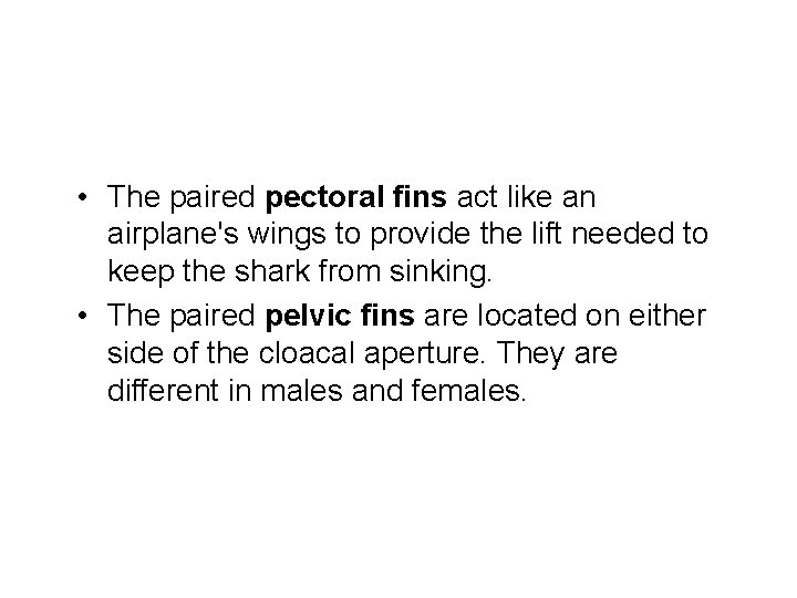  • The paired pectoral fins act like an airplane's wings to provide the