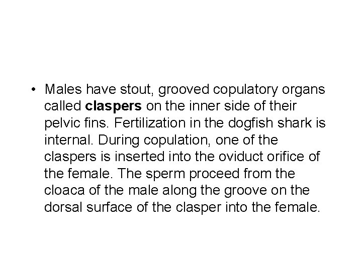  • Males have stout, grooved copulatory organs called claspers on the inner side