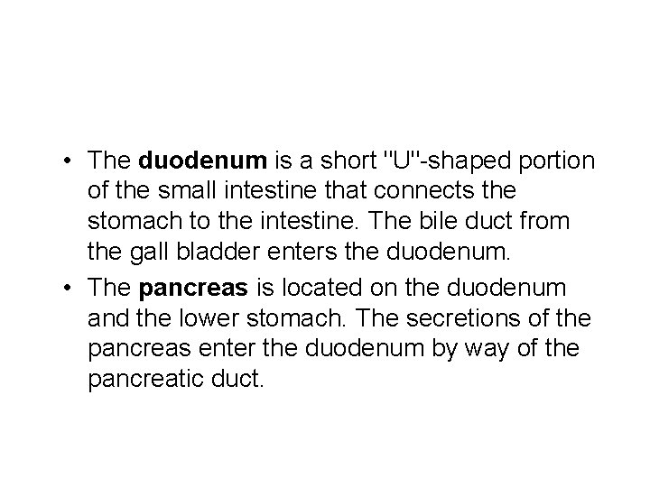  • The duodenum is a short "U"-shaped portion of the small intestine that