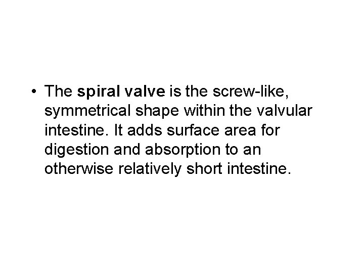  • The spiral valve is the screw-like, symmetrical shape within the valvular intestine.