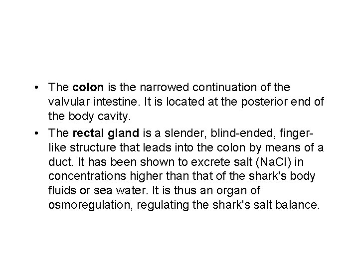  • The colon is the narrowed continuation of the valvular intestine. It is