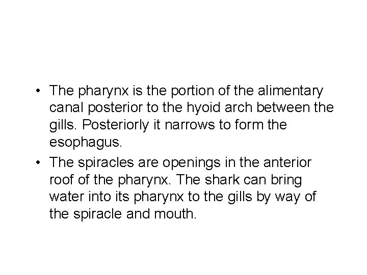  • The pharynx is the portion of the alimentary canal posterior to the