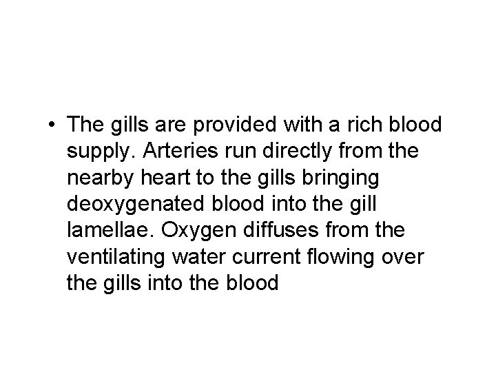  • The gills are provided with a rich blood supply. Arteries run directly