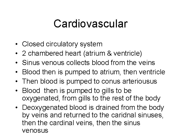 Cardiovascular • • • Closed circulatory system 2 chambered heart (atrium & ventricle) Sinus