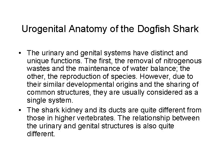 Urogenital Anatomy of the Dogfish Shark • The urinary and genital systems have distinct