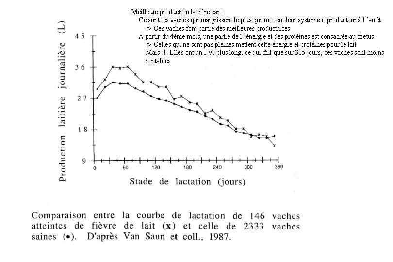 Meilleure production laitière car : Ce sont les vaches qui maigrissent le plus qui