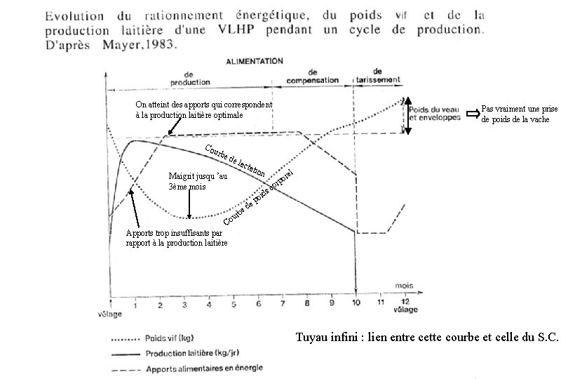 On atteint des apports qui correspondent à la production laitière optimale Cou rbe de