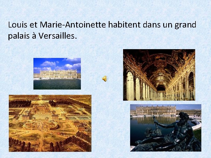 Louis et Marie-Antoinette habitent dans un grand palais à Versailles. 
