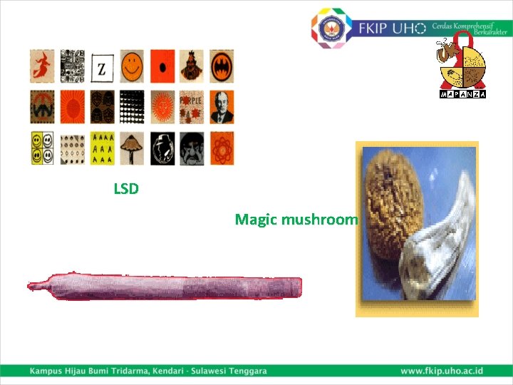 LSD Magic mushroom 