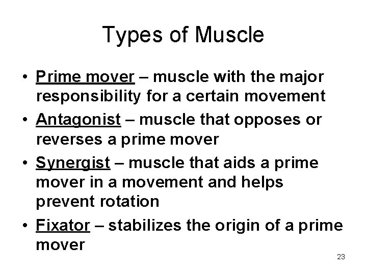 Types of Muscle • Prime mover – muscle with the major responsibility for a