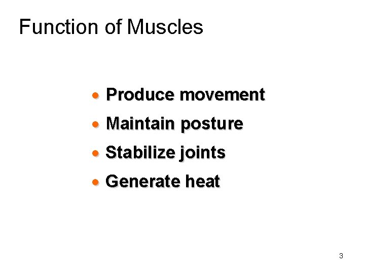 Function of Muscles · Produce movement · Maintain posture · Stabilize joints · Generate