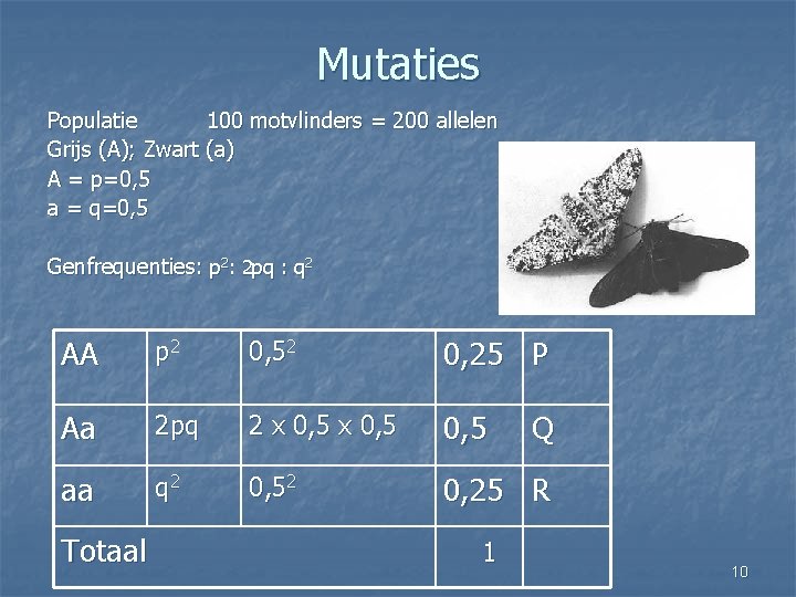 Mutaties Populatie 100 motvlinders = 200 allelen Grijs (A); Zwart (a) A = p=0,