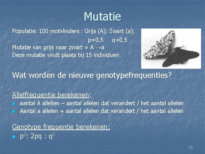 Mutatie Populatie: 100 motvlinders : Grijs (A); Zwart (a); p=0, 5 q=0, 5 Mutatie