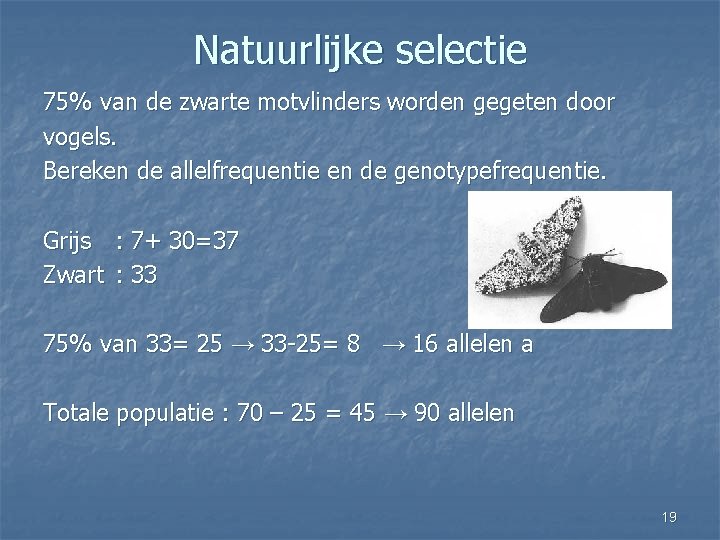 Natuurlijke selectie 75% van de zwarte motvlinders worden gegeten door vogels. Bereken de allelfrequentie