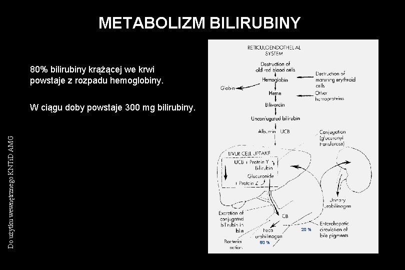 METABOLIZM BILIRUBINY 80% bilirubiny krążącej we krwi powstaje z rozpadu hemoglobiny. Do użytku wewnętrznego